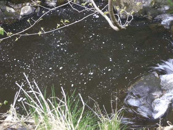 bubbles on the surface of the river bode